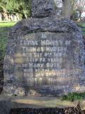 image of grave number 371801